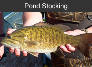 Pond Stocking Farm in Wisconsin