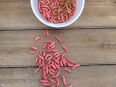 Red Spikes
  (1,000 count)
  (500 Count)
  (250 Count)
  (50 Count)
Holding Temperature: 34-36 degrees
